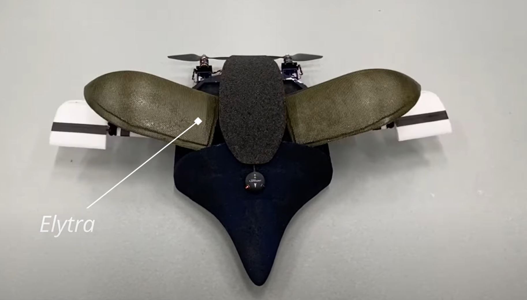 A worm-inspired liquid neural network helps drones fly